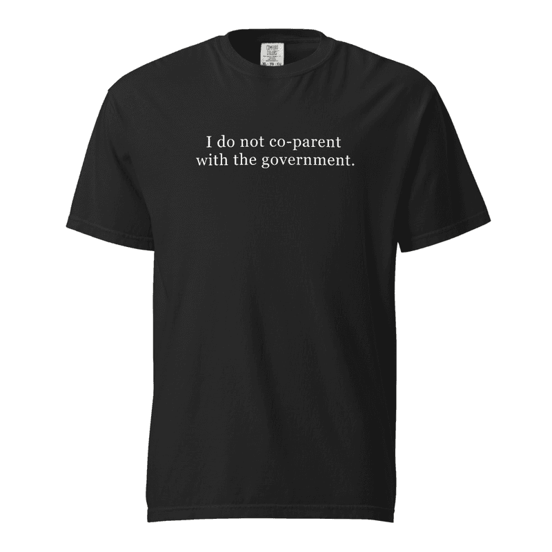I do not co-parent w/ the government. - Comfort Colors Tee / Black / S mockup 1